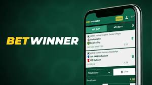 Explore BetWinner A Premier Destination for Online Sports Betting Explore BetWinner A Premier Destination for Online Sports Betting